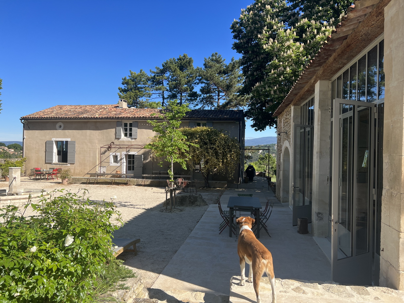 Chez Vous en Provence la ferme