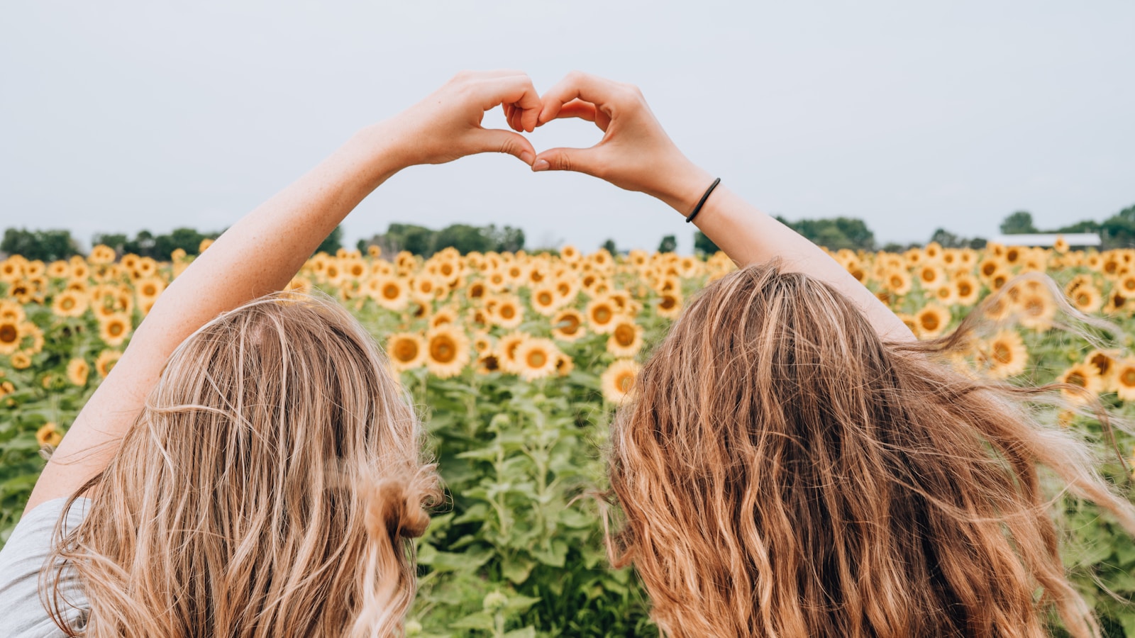 Photo by Lauren Richmond two women forming heart-shape using hands fronting sunflower field during daytime